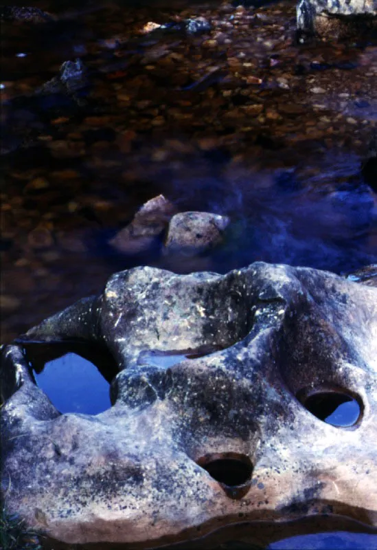 Silenciosas y cristalinas abluciones de agua en la quebrada del pramo de Cruz Verde. 