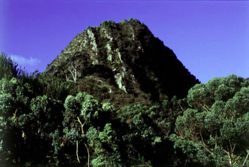 El cerro de Guadalupe , visto desde la va a Choach. 