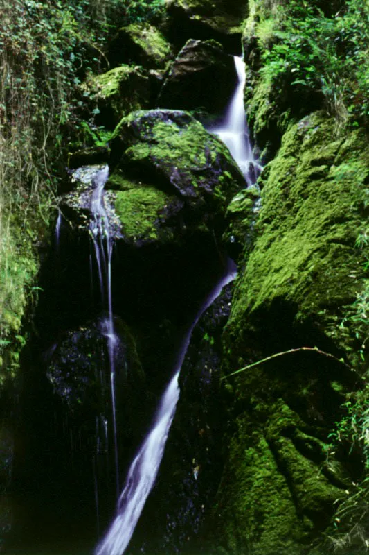 En su caída, el agua toma lecciones de las piedras.