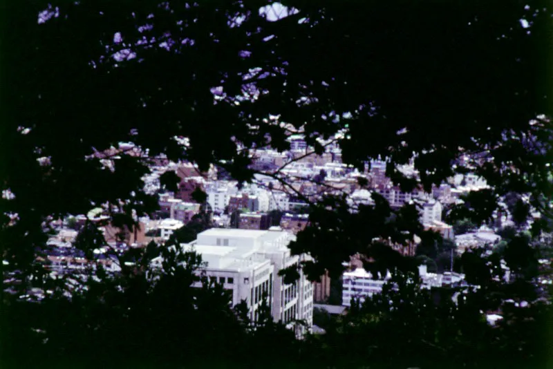  Aspecto de la ciudad desde los bosques en los cerros, a la altura de la calle 100. 