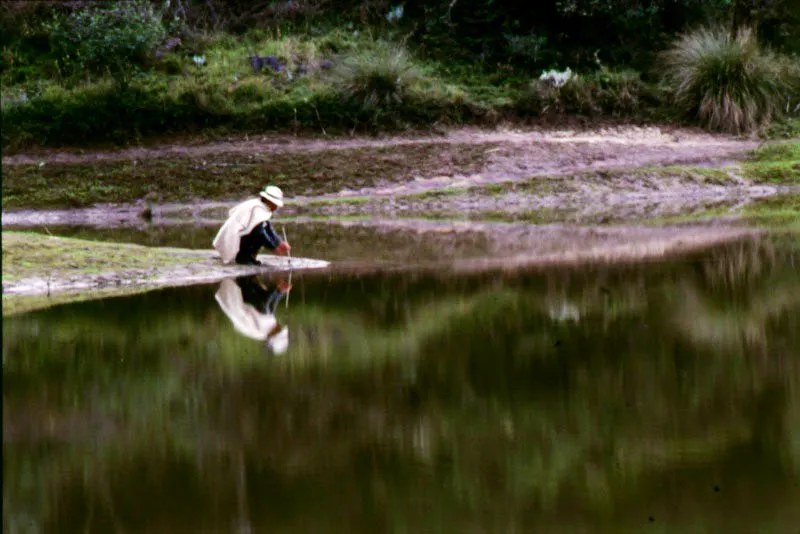 Las aguas mansas y silenciosas de La Regadera. 