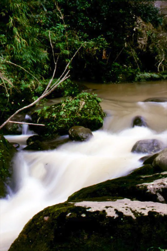 Caudales de agua. La defensa y proteccin de las fuentes hdricas provenientes de los cerros debe ser empeo comn de todos los habitantes de la ciudad.  