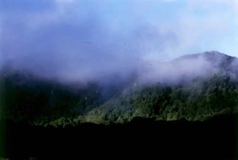 Las formas ondulantes de las lomas verdes en el valle del río Teusacá.