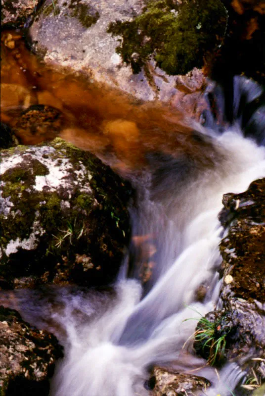 Aguas fabulosas y cristalinas en el pramo de 
Cruz Verde. 