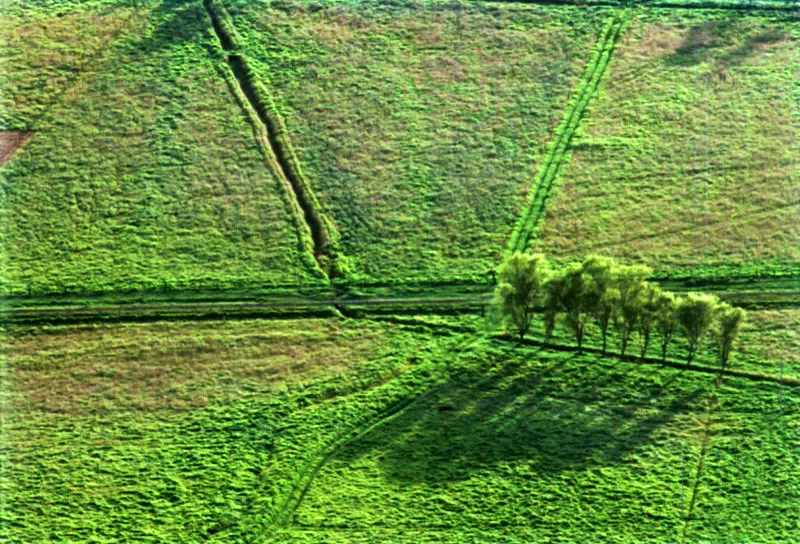 Vista del tejido que forman la sabana y sus trazados agrarios. Los suelos de la sabana tienen vocacin agraria, a diferencia de los suelos cidos y poco frtiles de la mayora de las reas de los cerros, especialmente en sus partes ms inclinadas.  Hileras de sauces bordean los riachuelos. 