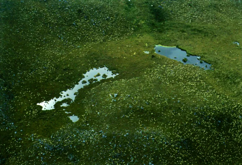 Nacimiento del ro Ariari. Pramo de Sumapaz. 