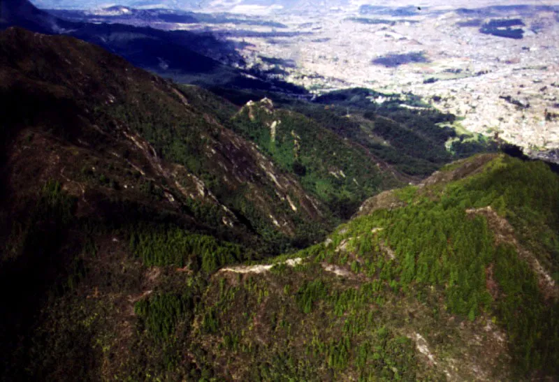 Crestas de los cerros a lo largo de su recorrido sobre la ciudad, con sus diferentes estados de conservacin ambiental. 