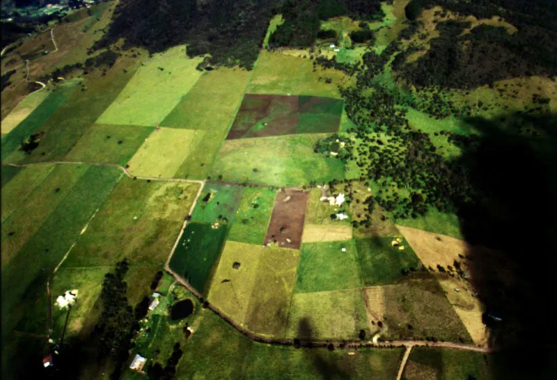 Aspectos del costado oriental de los cerros, sobre la cuenca del ro Teusac, donde pueden apreciarse las zonas de bosques, cultivos y reforestacin que se entremezclan en el rea. 