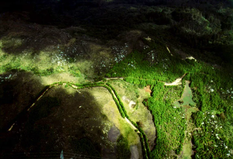 Aspectos del costado oriental de los cerros, sobre la cuenca del ro Teusac, donde pueden apreciarse las zonas de bosques, cultivos y reforestacin que se entremezclan en el rea. 