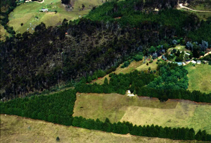 Aspectos del costado oriental de los cerros, sobre la cuenca del ro Teusac, donde pueden apreciarse las zonas de bosques, cultivos y reforestacin que se entremezclan en el rea. 