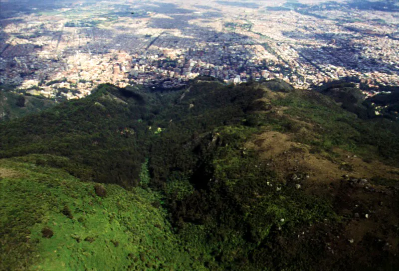 Crestas de los cerros a lo largo de su recorrido sobre la ciudad, con sus diferentes estados de conservacin ambiental. 