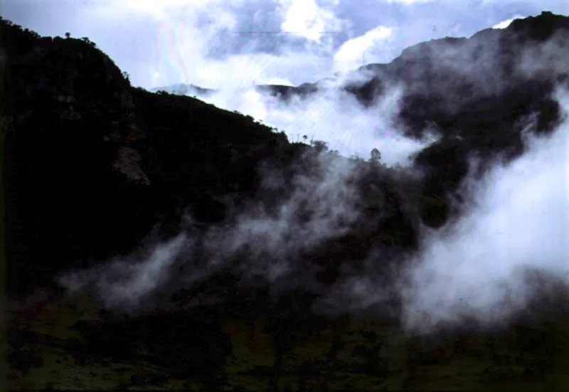 Bosques de niebla, una constante en el camino a Ubaque, al bajar del pramo de Choach. 