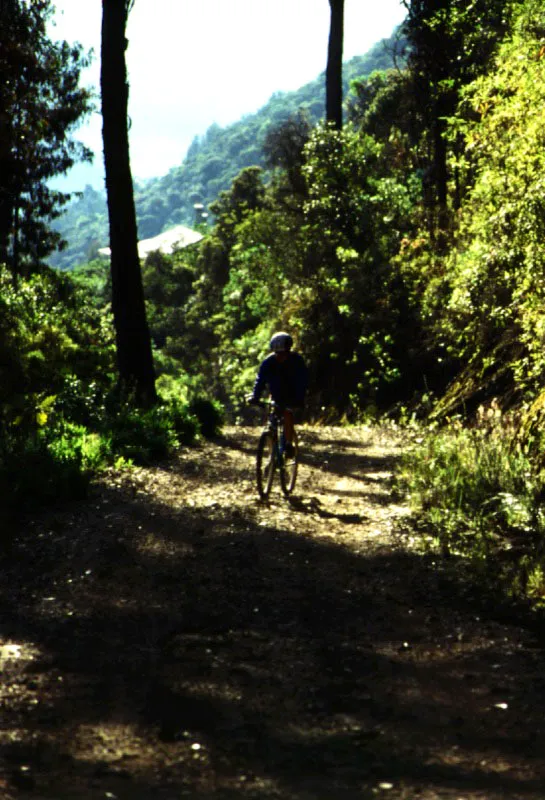 Ciclista en La Floresta de la Sabana. 