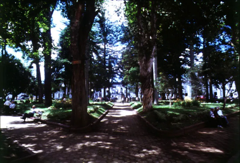 Parque de Caldas.
 