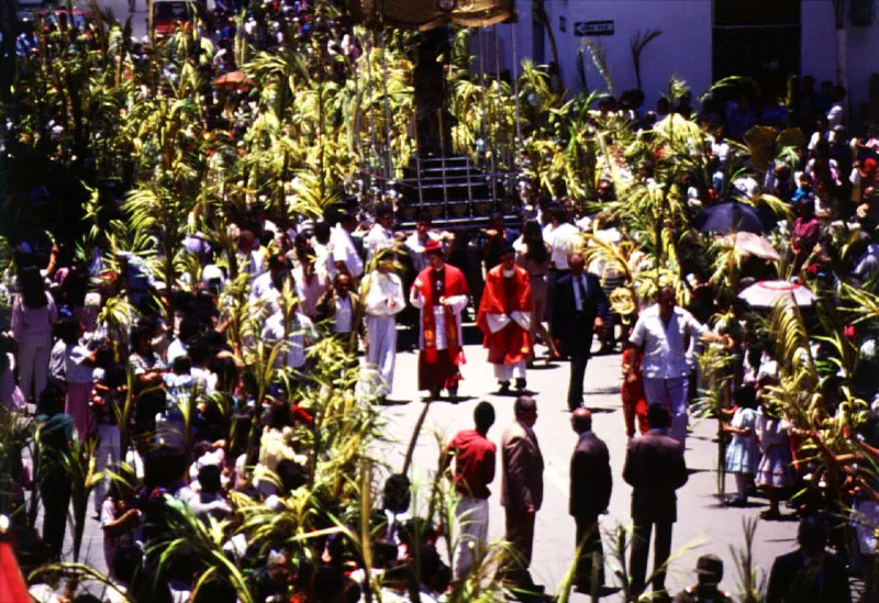 Domingo de Ramos 