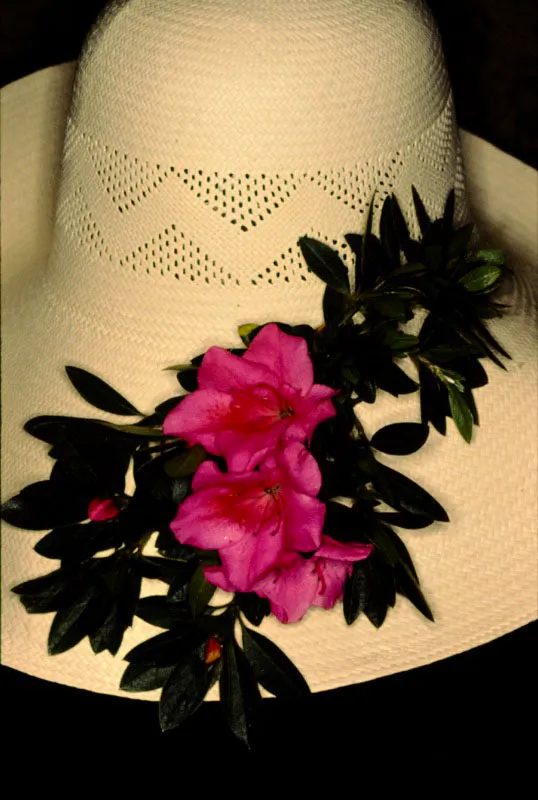 No hay un elemento que adorne más que una flor. Colocada en el ojal de una chaqueta, sobre el ala de un sombrero, convirtiéndose en un motivo oloroso para enriquecer la atmósfera de un ambiente cerrado e íntimo o, simplemente como una presencia agradable, llena de vida, aunque sus pétalos estén secos pero no mustios. José Fernando Machado