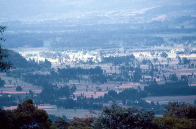 Sabana de Bogot. Jos Fernando Machado