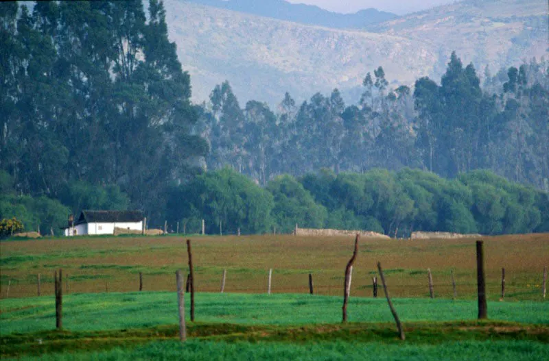 Sabana de Bogot. Jos Fernando Machado