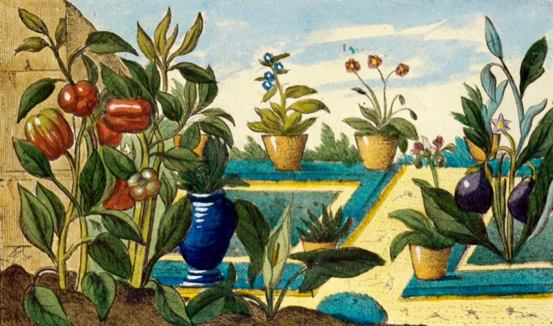 Los jardines y huertas romanas, dibujados en 1774, muestran la influencia de la flora americana en Europa.  Oscar Monsalve