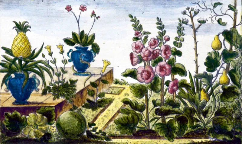 Los jardines y huertas romanas, dibujados en  1780, muestran la influencia de la flora americana en Europa.  Oscar Monsalve