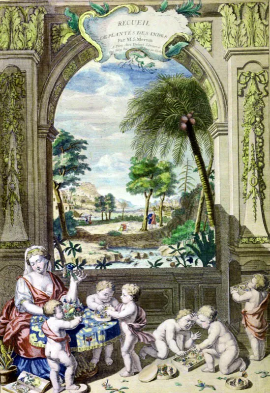 El "Recueil des plantes de Indies" de M.S Merian.  La portadilla de este libro es muy expresiva, y simblica de la riqueza con que nos obsequi la madre naturaleza. Oscar Monsalve