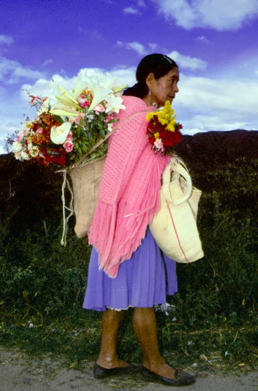 El rostro, la expresin y la actitud de esta campesina colombiana refleja la regin a la que pertenece (Nario), y la relacin que tiene con las flores: lirios silvestres para vender en el mercado. Jos Fernando Machado