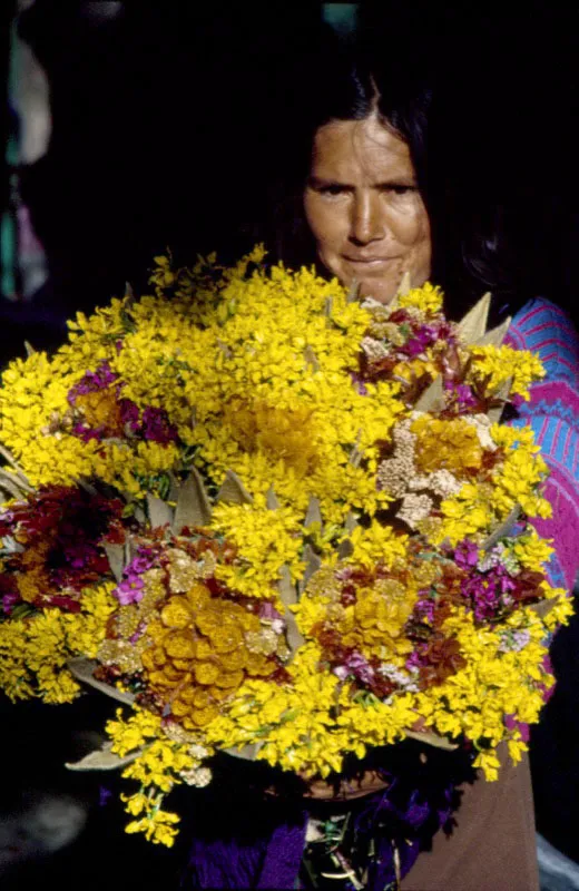 El rostro, la expresión y la actitud de esta campesina colombiana refleja la región a la que pertenece (Boyacá), y la relación que tiene con las flores: orquídeas nativas odontogloso para arreglar la iglesia. Oscar Monsalve