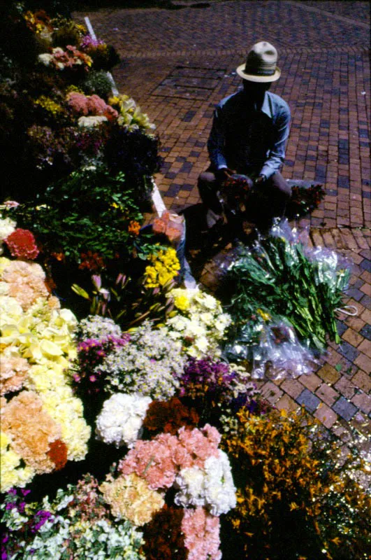 Los colombianos son amantes de las flores y cotidianamente tienen acceso, en ventas estratégicamente colocadas, a las numerosas variedades que se ofrecen. José Fernando Machado