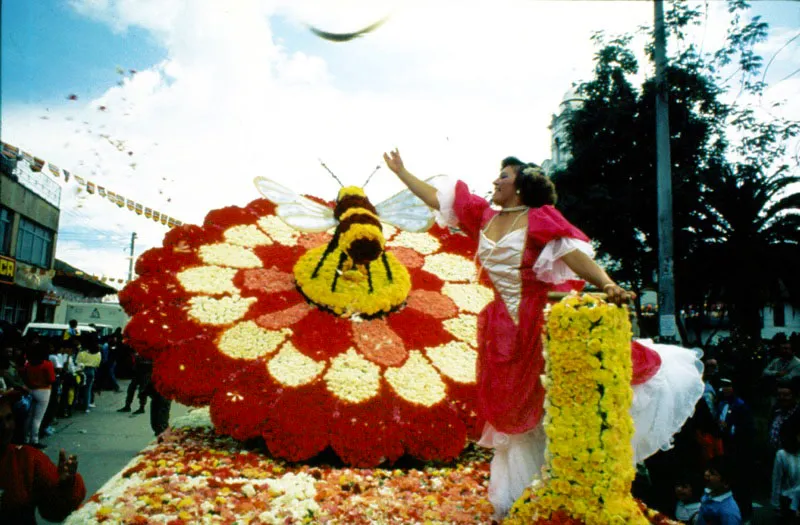 La hermosa mujer que combina su alegra con la descomunal abeja, fabricada con flores, es un motivo que se repite en distintas regiones de Colombia, porque siempre hay una fiesta en la que las mujeres y las flores compiten en belleza. El simple proceso de la polinizacin por el cual el insecto, con sus patas y alas y antenas untadas de polen provoca la fecundacin de otras flores, sirve aqu de inspiracin al artista que se tom varios das fabricando esta composicin alegrica para una carroza memorable. Jos Fernando Machado