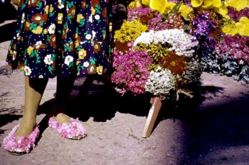 Cada 7 de agosto, las calles de Medelln se paralizan para contemplar el espectculo de los silleteros quienes, siguiendo una vieja tradicin, bajan de la montaa con su preciosa carga de flores, vestidos a la manera campesina y convertidos en smbolos de todo un pueblo a travs de un hermoso desfile de fama internacional.  Len Duque