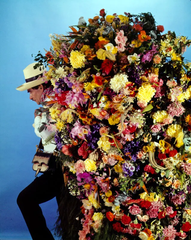 Cada 7 de agosto, las calles de Medelln se paralizan para contemplar el espectculo de los silleteros quienes, siguiendo una vieja tradicin, bajan de la montaa con su preciosa carga de flores, vestidos a la manera campesina y convertidos en smbolos de todo un pueblo a travs de un hermoso desfile de fama internacional.  Len Duque