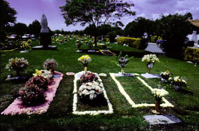 En Colombia, lo mismo que el en resto de América Latina, se guarda un enorme respeto hacia la muerte y se conservan rituales que incluyen, como en estos tres casos, el uso de las flores para hacer más soportable la ausencia de los seres queridos. Puede ser en la impotencia de un panteón donde familias van reuniéndose poco a poco, o en los arreglos florales que buscan quitarle un poco de rigidez a la muerte o en los ya popularizados jardines de la paz donde los recuerdos se mezclan con las flores y la hierba en las más sorprendentes figuras alusivas a los difuntos que allí reposan. Pilar Gómez