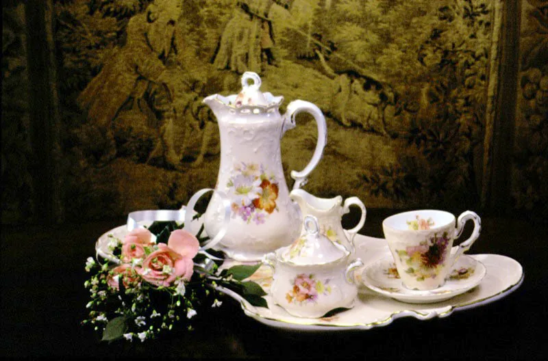 Sofisticadas, elegantes, exclusivas, distantes, integradas a arreglos o solitarias cumpliendo con su oficio de darle color y belleza a la vida, así aparecen estas flores naturales o artificiales, sirviendo de pretexto para que el buen gusto también sea un elemento vital de todos los días. José Fernando Machado