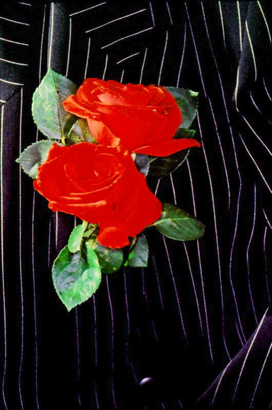 Cada vez que unas manos toman una flor y la transforman en un adorno, están inventando posibilidades para la intimidad y formas que están esperando otras manos que las desbaraten y vuelvan a armar. De detalles cómo éstos, de gestos congelados por la emoción y la memoria, de instantes grabados en la superficie de las flores, está conformada la vida cotidiana. José Fernando Machado