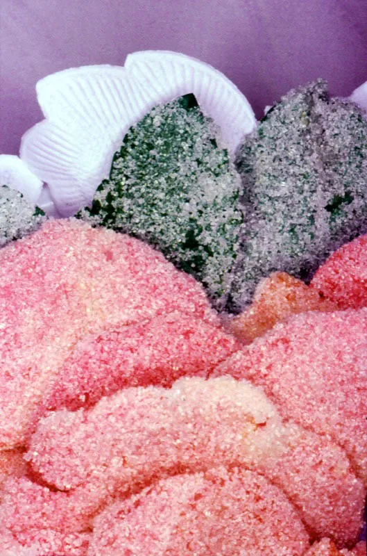 Las flores que dominan aún los más simples actos de los colombianos, han influido en la gastronomía durante todos estos años. Aquí se ponen a prueba el ingenio y la imaginación de estos auténticos artesanos del sabor y el color. José Fernando Machado