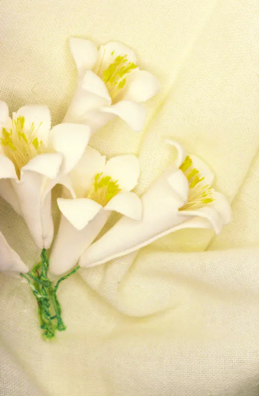 Las flores que dominan aún los más simples actos de los colombianos, han influido en la gastronomía durante todos estos años. Aquí se ponen a prueba el ingenio y la imaginación de estos auténticos artesanos del sabor y el color. José Fernando Machado