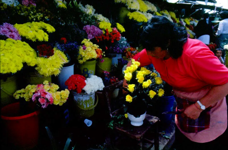 Los colombianos aman las flores y aqu se evidencia en las fiestas populares, en los desfiles folclricos como el de los silleteros en Medelln, tanto como en las actividades cotidianas de los vendedores en ciudades y pueblos.  Pilar Gmez