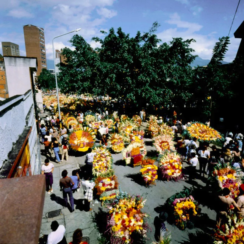 Los colombianos aman las flores y aqu se evidencia en las fiestas populares, en los desfiles folclricos como el de los silleteros en Medelln, tanto como en las actividades cotidianas de los vendedores en ciudades y pueblos.  Len Duque