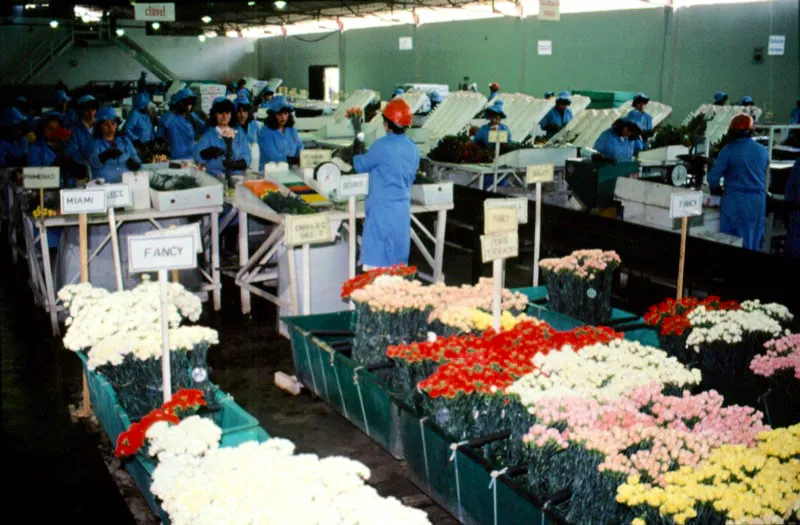 Rigurosos controles fitosanitarios y de aduana. José Fernando Machado