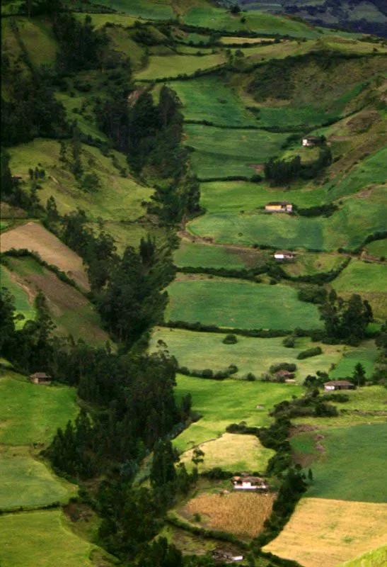 Chávez, Nariño. José Fernando Machado