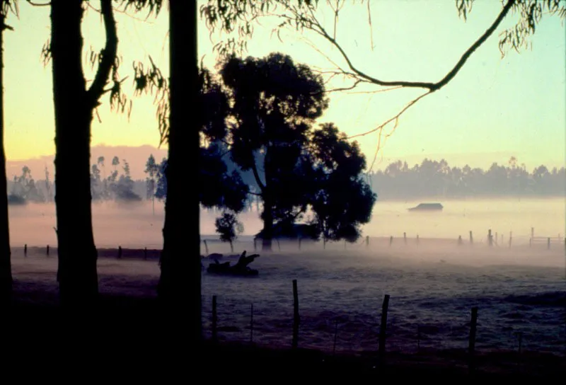 Amanecer. Sabana de Bogot.  Eduardo Gonzlez