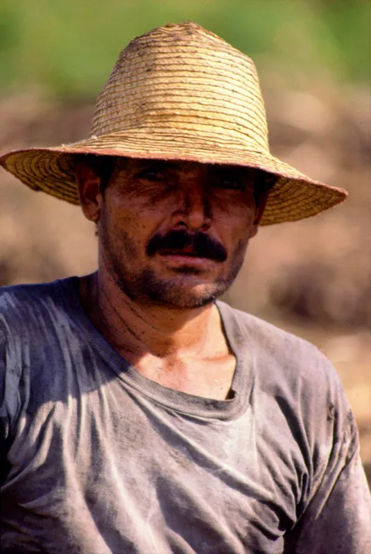 Codazzi, Cesar. José Fernando Machado