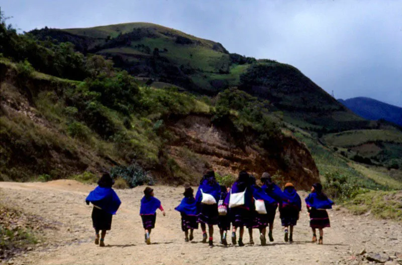 Niñas guambianas. Guambía, Cauca. José Fernando Machado