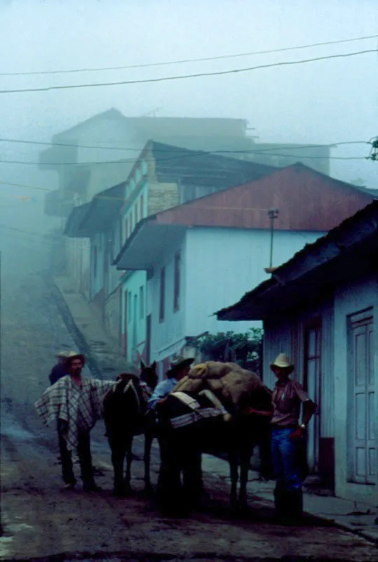 Arrieros. Santa Isabel, Tolima. José Fernando Machado