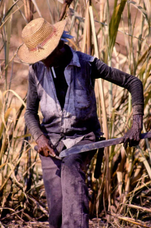 Cortero de caña. Casacará, Cesar. José Fernando Machado