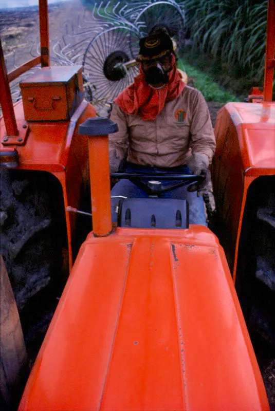 Ingenio Manuelita. Palmira, Valle del Cauca. José Fernando Machado
