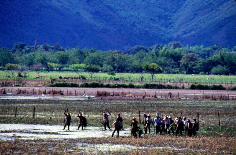 Jornaleros. Ricaurte, Valle del Cauca. Jos Fernando Machado