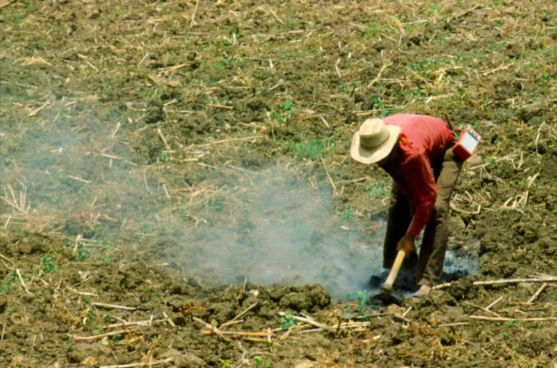 Campesino tabacalero. Barichara, Santander José Fernando Machado