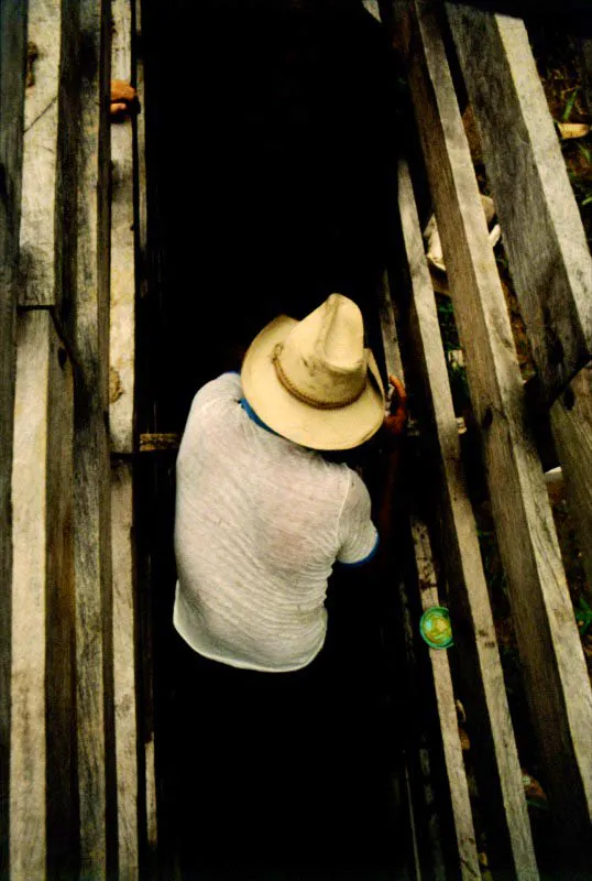 Hato. Paz de Ariporo, Casanare. Juan Camilo Segura