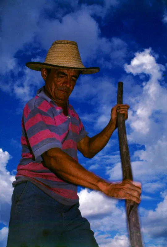 Roldanillo, Valle del Cauca. José Fernando Machado